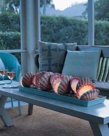 a tray filled with seashells sitting on top of a wooden table next to two blue chairs