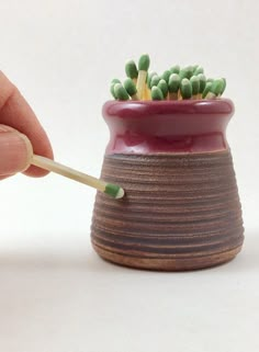 a hand is holding a match stick to a small ceramic pot with succulents in it