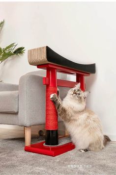 a cat playing with a scratching post on the floor