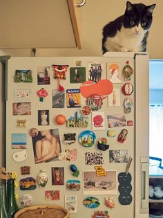 a black and white cat sitting on top of a refrigerator covered in magnets,