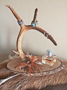 Cabin Vanity, Deer Antler Jewelry Holder, Antler Jewelry Holder, Antler Projects, Deer Antler Crafts, Deer Antler Jewelry, Antler Ideas, Deer Antler Decor, Antlers Decor