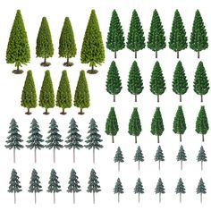 several different types of trees are shown in this image