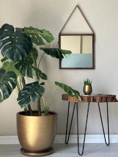 a potted plant sitting on top of a wooden table next to a mirror and side table