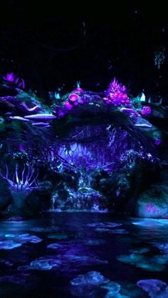 an artificial pond in the dark with water lilies and plants growing on it's sides