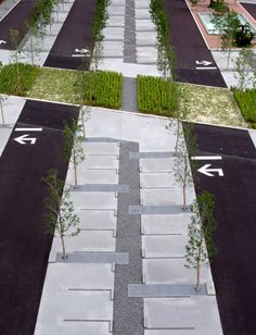 an empty parking lot with several trees and arrows painted on the pavement in different directions