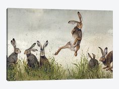 three rabbits are jumping in the air to catch something out of the grass, while another rabbit jumps up into the air