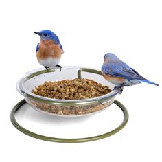 two birds sitting on top of a bowl filled with food