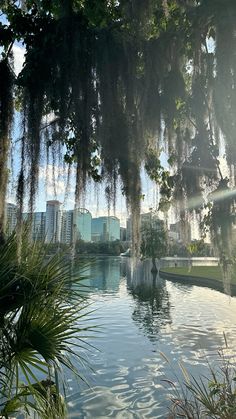 an outdoor swimming pool with trees hanging over it and buildings in the backround