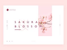 a pink background with the words sakura blossom written in japanese and an image of a cherry blossom