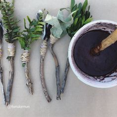 some plants are sitting next to a bowl with something in it that looks like chocolate