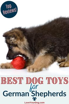 a german shepherd puppy chewing on a red ball with the words best dog toys for german shepherds