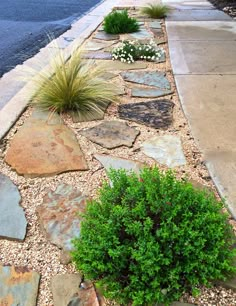 a stone path with grass and flowers on the side