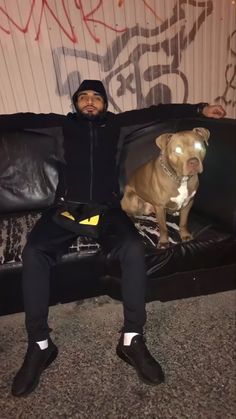 a man sitting on top of a couch next to a brown and white pit bull dog