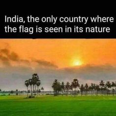 Happy Independence Day everyone. Together we Shine. Indian National Flag, India Quotes, Indian Army Quotes, Unique Facts, True Interesting Facts, Interesting Facts About World, India Facts, Psychology Fun Facts, Intresting Facts