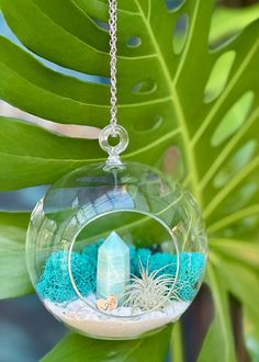 an air plant in a glass ball hanging from a chain