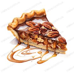 a piece of pecan pie with caramel drizzle on it's side