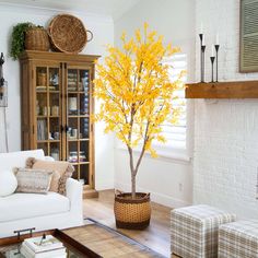 a living room filled with furniture and a yellow tree in the middle of the room