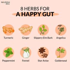 Gut Health Herbs, Gut Healing Herbs, Herbal Tea For Gut Health, Herbs For Gut Health, Gut Health Aesthetic, Herbs For Digestion, Gut Flora, Hormone Balance, Naturopathic Doctor