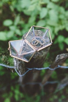 two wedding rings sitting on top of a rock