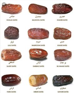 dates in different languages are shown with the names and date listed on them for each type of food