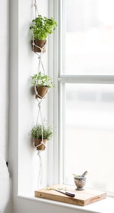 three potted plants are hanging on a window sill next to a cutting board