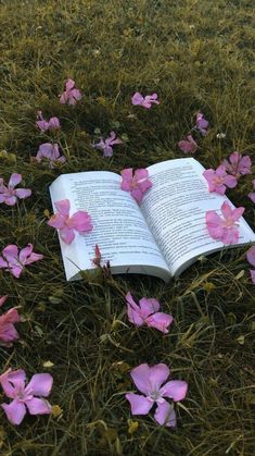 an open book laying in the grass with pink flowers