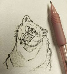 a pencil drawing of a bear with its mouth open