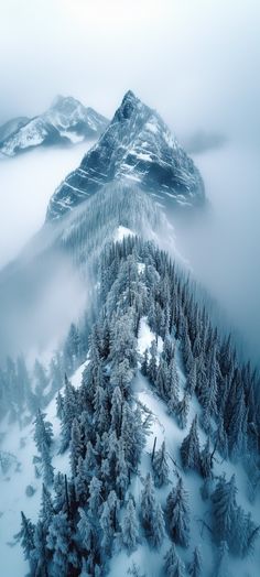 an aerial view of snow covered trees and mountains