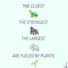 three different types of plants and animals with the words the oldest, the strongest, the largest are fueled by plants