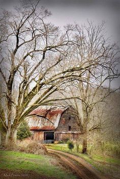 an old barn sits in the middle of a grassy field with trees and dirt road