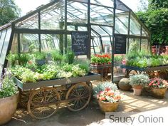 an outdoor garden shop with lots of plants and flowers in the window boxes on wheels