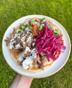 a person holding a plate with food on it in their hand and grass in the background