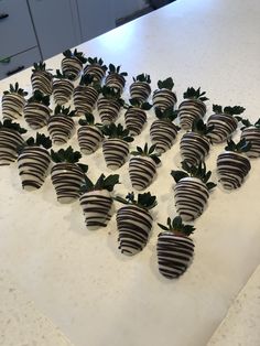 chocolate covered strawberries are arranged on a counter