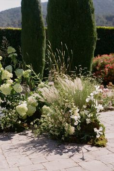 white flowers and greenery in the middle of a stone path with trees on either side