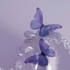 three purple butterflies sitting on top of a glass vase