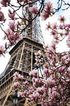 the eiffel tower with pink flowers in front of it is shown from below