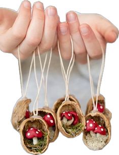 three small mushrooms are hanging from twine