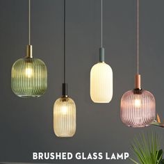 three different colored glass lamps hanging from the ceiling above a table with a plant in front of it