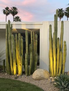 some very pretty cactus plants in front of a house