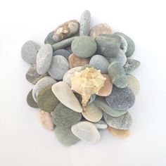 a pile of rocks and pebbles on a white background with a shell in the middle