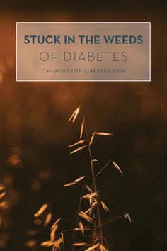 Managing blood sugar levels can make us feel stuck in the weeds. We don't always know what causes the highs and lows. So what do we do? Feel Stuck, Sugar Level, Healthy Routine, Blood Sugar Levels, Feeling Stuck, High & Low, Feelings