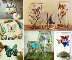 many different pictures of butterflies in glass vases with rocks and stones on the ground