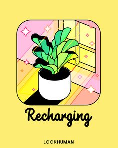 a potted plant with the words recharging in black and white on a yellow background