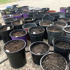 several buckets filled with dirt sitting on top of a gravel covered ground next to each other