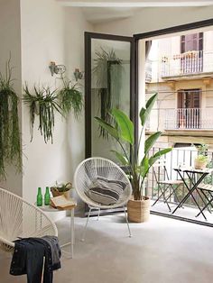 a living room filled with lots of plants next to an open patio door that leads out onto a balcony