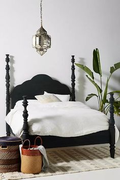 a bedroom with a bed, rug and plant in the corner on the floor next to it