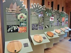 there are many different kinds of plants on display in this museum exhibit case with wood cutting boards