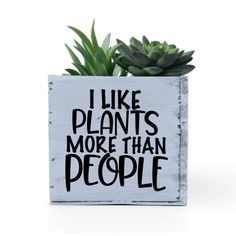 a planter with plants in it that says i like plants more than people