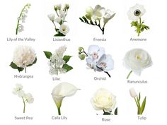 an image of flowers that are labeled in english