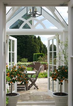 an open white door leading to a patio with potted plants and flowers on the table